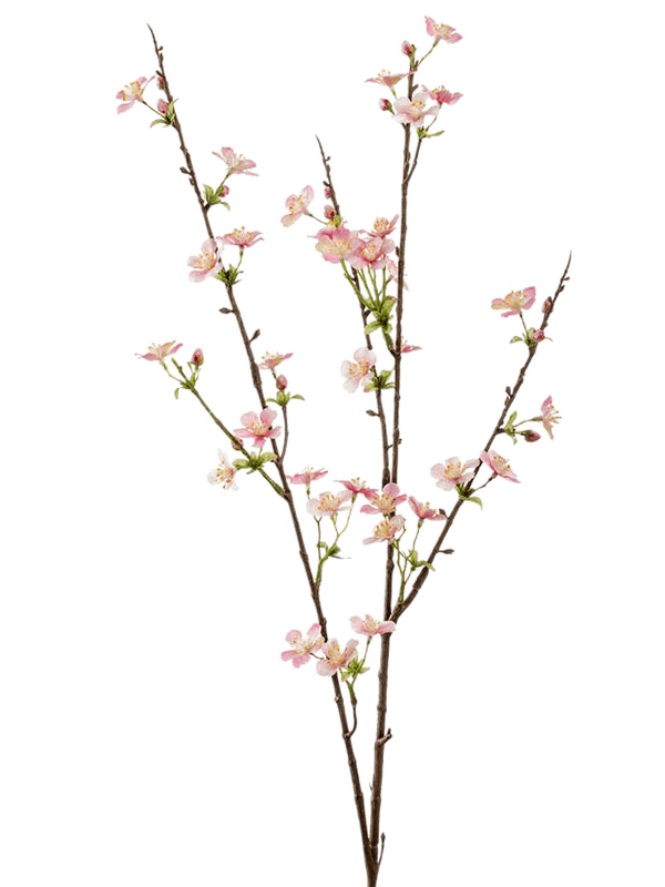 Apple blossom Pink 8EE419800 30/apple-blossom-8ee419800