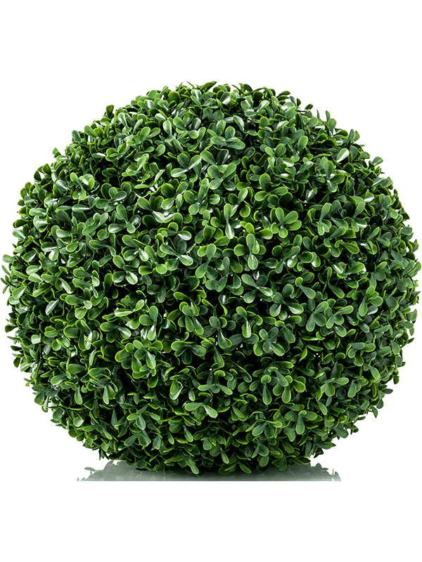 Boxwood Ball 8EE423377 30/boxwood-mini-8ee423377
