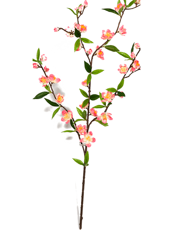 Cherry blossom spray Pink 8FW1644RS 30/cherry-blossom-spray-8fw1644rs