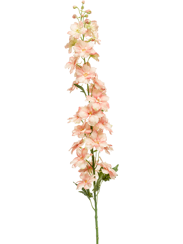 Delphinium Branch Peach 8EE423847 30/delphinium-8ee423847