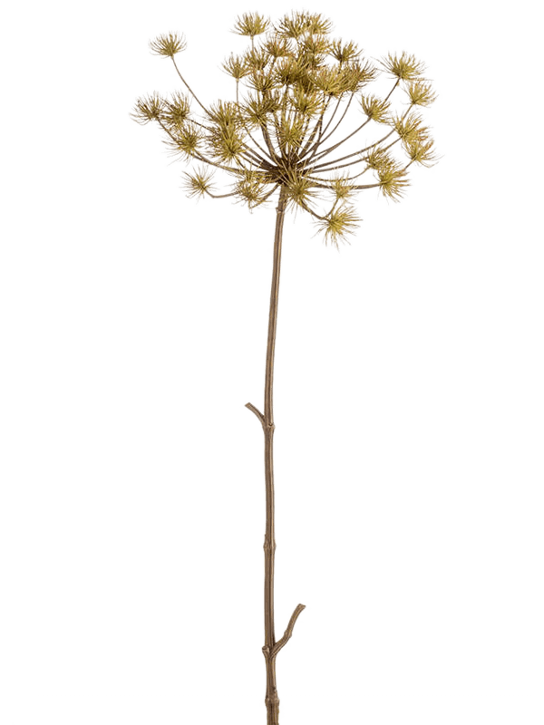 Heracleum Branch Green 8EEG18998 30/heracleum-8eeg18998