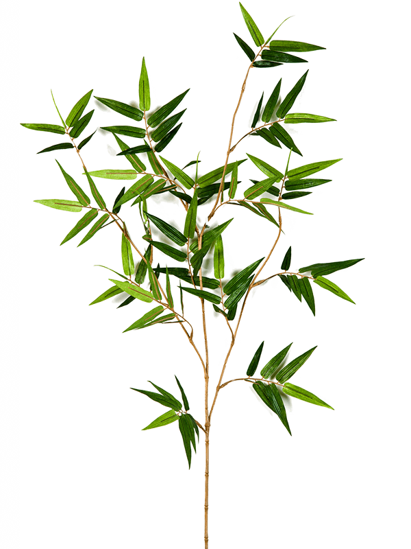 Bamboo japanese oriental Branch 8FW1487N 30/japanse-oriental-bamboo-spray-8fw1487n