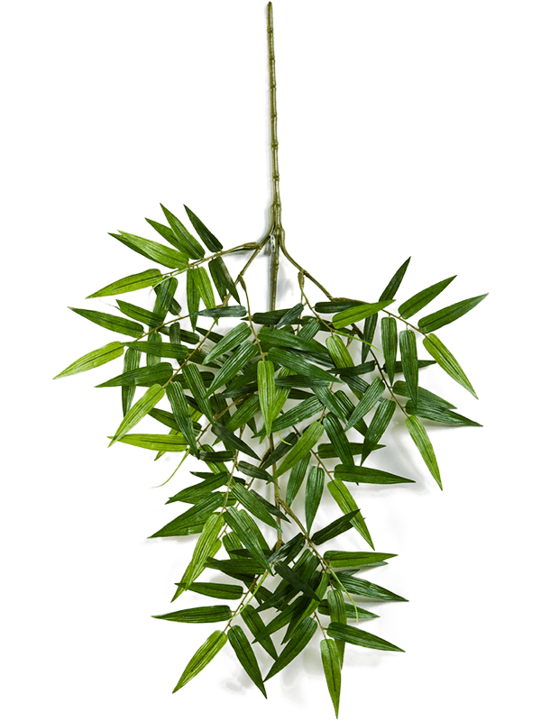Bamboo oriental Branch 8FW1486N 30/oriental-bamboo-spray-8fw1486n