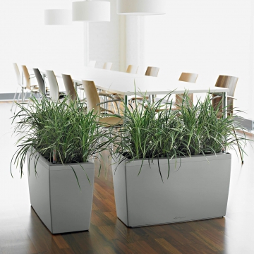 lechuza/le_cararo_product_addi_02