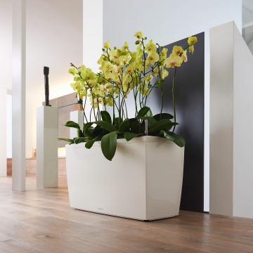 lechuza/le_cararo_product_addi_03