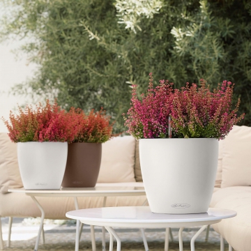 lechuza/le_classico-color21_product_addi_02