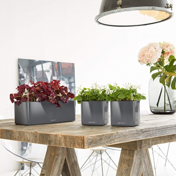 lechuza/le_cube-glossy-triple_product_addi_02