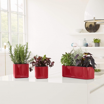 lechuza/le_cube-glossy-triple_product_addi_04