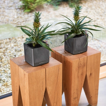 lechuza/le_cube-glossy14_product_addi_02