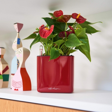 lechuza/le_cube-glossy14_product_addi_03