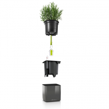 lechuza/le_cube-glossy_product_addi_explosion