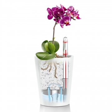 lechuza/le_deltini_product_addi_sws