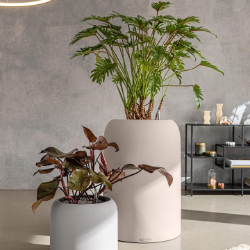 lechuza/le_havalo_product_addi_02