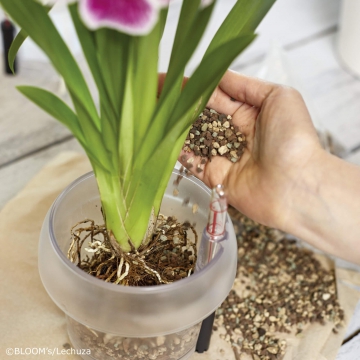 lechuza/le_orchid-pon_product_addi_04
