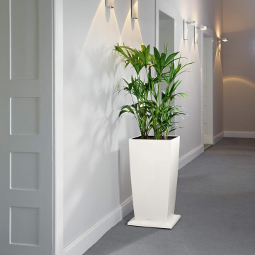 lechuza/le_rolluntersetzer-cubico_product_addi_03