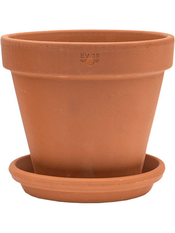 Кашпо Terra Cotta (Wall Pot With Saucer) Арт: 6TDB01917