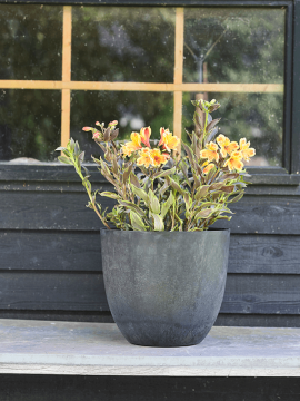 nieuwkoop-planters/6ARTBOZ45_2