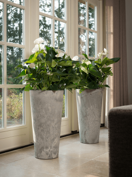 nieuwkoop-planters/6ARTRGV25_1