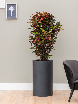 nieuwkoop-planters/6BSCC613P_2