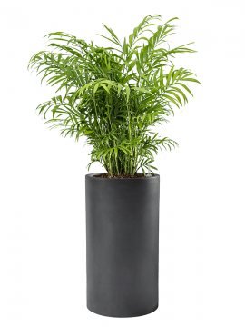 nieuwkoop-planters/6BSCC613P_3
