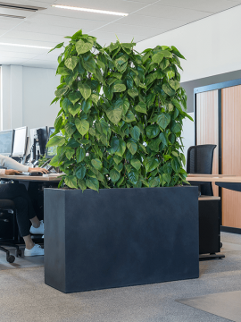 nieuwkoop-planters/6BSCR616P_1