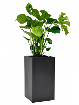 nieuwkoop-planters/6BSCS611P_1