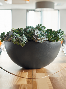 nieuwkoop-planters/6CAS05540_1