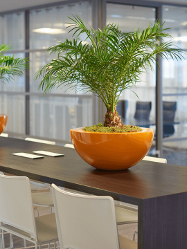 nieuwkoop-planters/6CAS05650_1