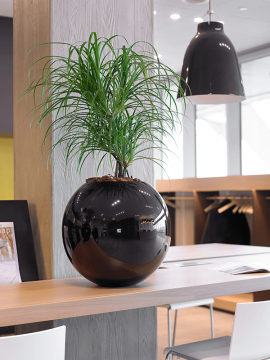 nieuwkoop-planters/6CAS05740_1