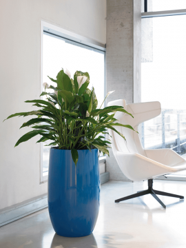 nieuwkoop-planters/6DRO01190_3