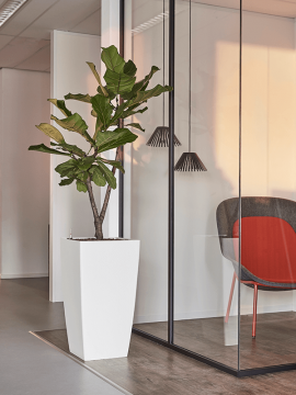 nieuwkoop-planters/6ECOK4991_1