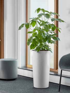nieuwkoop-planters/6ECOP3366_1