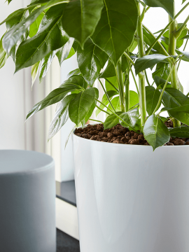 nieuwkoop-planters/6ECOP3366_2