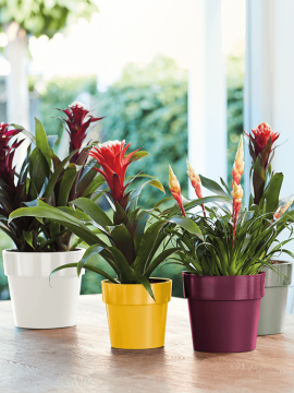 nieuwkoop-planters/6ELHBO16B_1