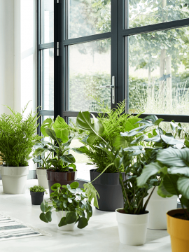 nieuwkoop-planters/6ELHBO35W_1