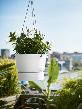 nieuwkoop-planters/6ELHGR242_1