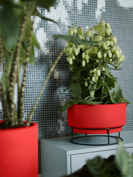 nieuwkoop-planters/6ELHSB30R_1