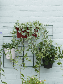 nieuwkoop-planters/6ELHUWS18_1
