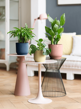 nieuwkoop-planters/6ELHVI16Y_1