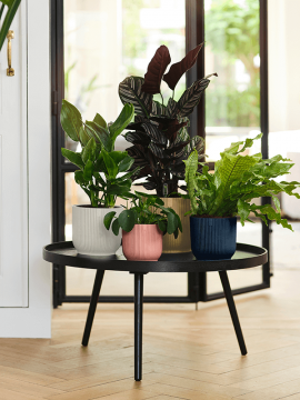 nieuwkoop-planters/6ELHVI18Y_3