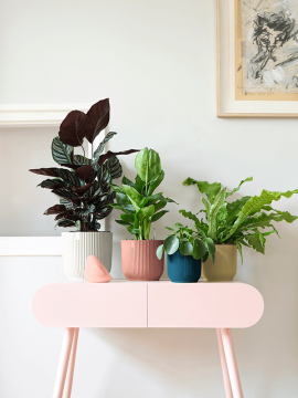 nieuwkoop-planters/6ELHVI22P_2