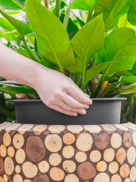 nieuwkoop-planters/6FACEC128_1