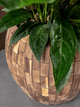 nieuwkoop-planters/6FACEC820_2