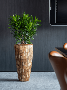 nieuwkoop-planters/6FACEP420_1