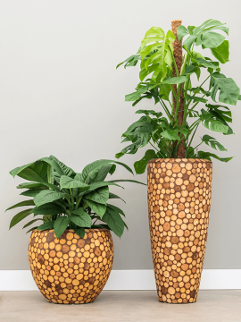 nieuwkoop-planters/6FACEP428_2