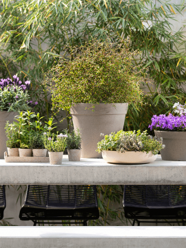 nieuwkoop-planters/6FBR00011_1