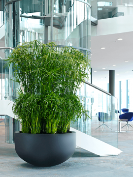 nieuwkoop-planters/6FSTRCB020_1