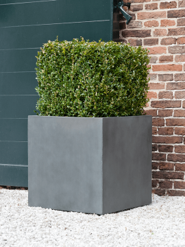 nieuwkoop-planters/6FSTSBG40_1