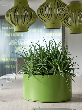 nieuwkoop-planters/6HLU04720_1