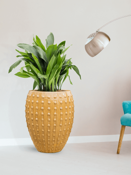 nieuwkoop-planters/6LAOR4380_1